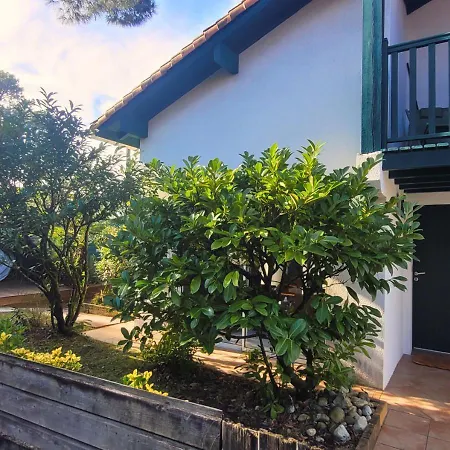 Vila Estivales 30- Maison Mitoyenne Pour 6 Personnes *